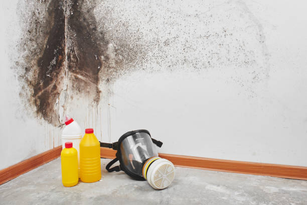 Best Attic Mold Removal  in Greentree, NJ