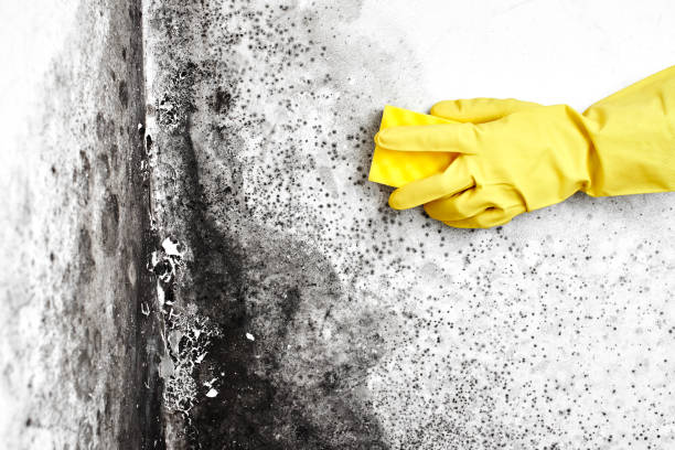 Water Damage Restoration in Greentree, NJ