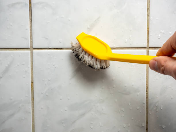  Greentree, NJ Mold Removal Pros
