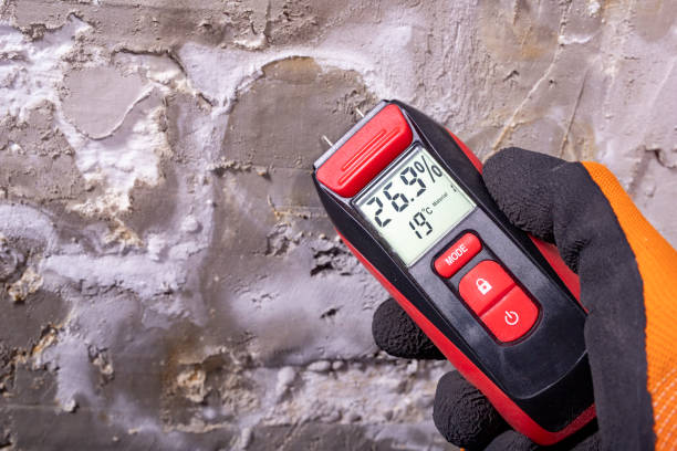 Best Black Mold Removal  in Greentree, NJ