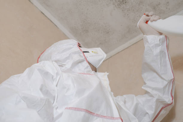 Best Mold Removal Near Me  in Greentree, NJ