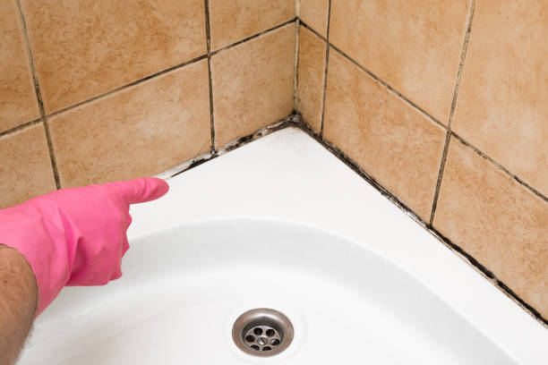 Best Emergency Mold Removal  in Greentree, NJ